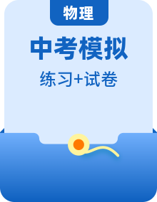 2024年安徽省中考物理、化学模拟预测练习卷