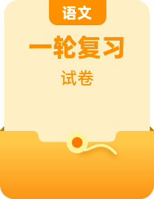 2021届中考语文专项复习专题（共22份）