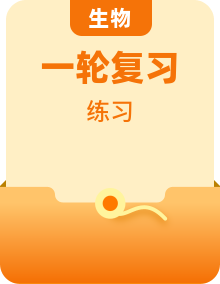 2025版高考生物一轮复习微专题小练习专练（1—45）（45份）