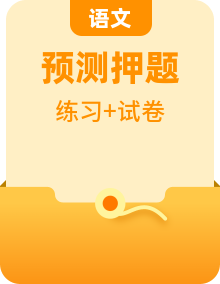 高考语文【热点•重点•难点】专练(全国通用)(原卷版+解析)