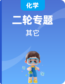 2022年高考化学二轮复习专题冲刺（上海专用）