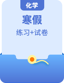 2022年高三化学寒假测试题+同步练习+质量检测+综合测试（含解析）