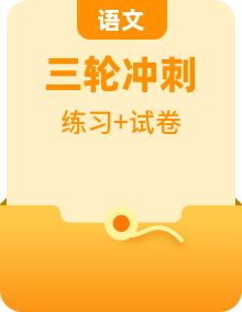 高考语文三轮冲刺复习热点+重难点练习（2份打包，解析版+原卷版）