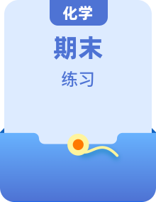 （人教版2019必修第二册）高一化学下学期精品专题特训