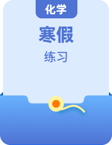 2025年九年級化學(xué)寒假銜接講練 (人教版)