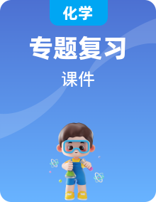 中考化學專題復習（共7份）
