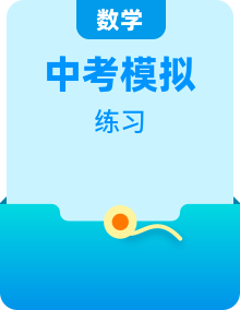 全套中考數(shù)學(xué)復(fù)習(xí)基礎(chǔ)解答題+選填題+壓軸題題組練含答案