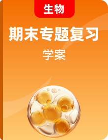 高一生物下學(xué)期期末專題復(fù)習學(xué)案（人教版2019必修2）