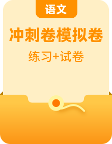 2024學(xué)年語文小升初模擬演練沖刺試卷（含解析）