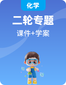 新高考化學(xué)二輪復(fù)習(xí)導(dǎo)學(xué)案課件 （含解析）