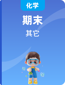 九年級(jí)化學(xué)下冊(cè)同步備課系列（人教版）