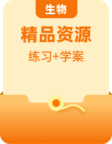 （新教材）人教版（2019）高中生物必修2同步學案+同步練習