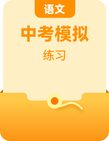 全套中考語(yǔ)文復(fù)習(xí)題組含答案