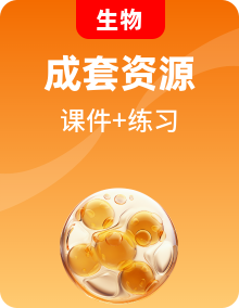 高一生物同步課件 同步練習(xí)(2019人教版 必修第二冊(cè))