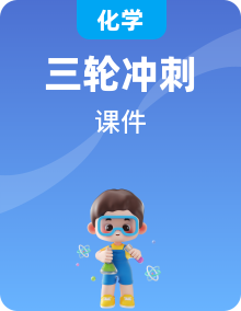 中考化學(xué)總復(fù)習(xí)優(yōu)化設(shè)計專題綜合突破專題課件