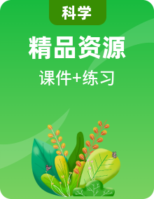 教科版科學四年級下冊復習習題課件