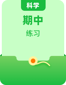 2022-2023年冀人版科學(xué)五年級(jí)下冊(cè)期中單元復(fù)習(xí)精講精練