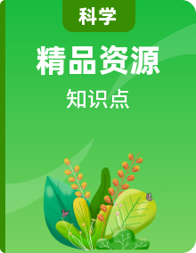 教科版六年級(jí)科學(xué)下冊(cè)全冊(cè)分課時(shí)知識(shí)梳理及典型考題