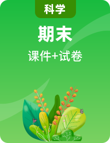 【期末綜合復習】教科版科學五年級上冊-期末綜合測試【試題+課件】（含解析）