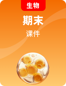人教版 (新課標(biāo))生物七年級下冊  單元檢測試卷+單元專題強化課件PT（含答案）