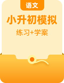 2022-2023學(xué)年小升初語(yǔ)文知識(shí)點(diǎn)專(zhuān)題特訓(xùn)學(xué)案（含答案）