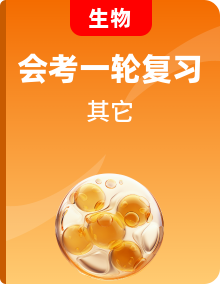 【2024會考】初中生物一輪復(fù)習(xí)知識清+易錯點(diǎn)歸納+核心考點(diǎn)+考點(diǎn)