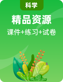 教科版六年級科學(xué)下冊（習(xí)題課件+知識梳理+單元測試+期末測試卷）