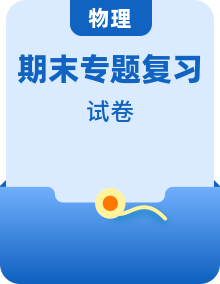 期末复习专题卷（物理人教版8年级下册）