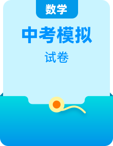 2024年中考數(shù)學(xué)模擬試卷匯編（含答案）