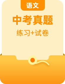 歷年初中語文中考真題專項知識題復(fù)習(xí)訓(xùn)練及答案