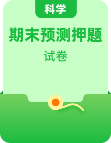 2023-2024學年3-6年級上冊科學高頻易錯期末必刷卷（期末押題卷）（多版本）
