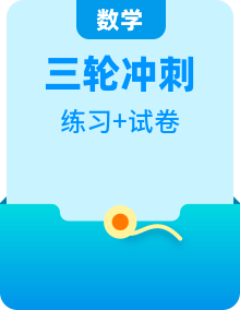 中考數(shù)學(xué)三輪沖刺練習(xí)專練（2份打包，原卷版+解析版）