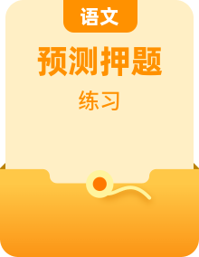 2025年高考语文 热点 重点 难点 专练（新高考通用）