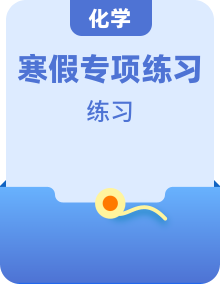 【寒假提升】人教版2024九年級化學(xué)專題訓(xùn)練