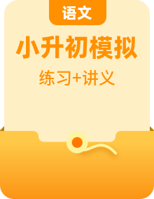 2023年部編版語文小升初知識(shí)點(diǎn)匯總講義+練習(xí)（含答案）