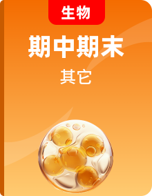 2022-2023學(xué)年高一生物上學(xué)期期中期末考點(diǎn)大串講
