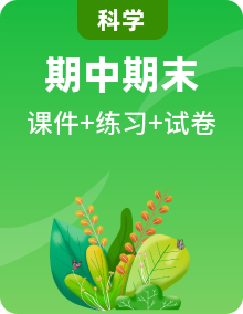 四年級(jí)上冊(cè)科學(xué)各版本 期中期末試卷摸、底限時(shí)練試卷及答案+復(fù)習(xí)課件專輯