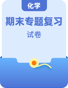 期末復(fù)習(xí)專題卷（化學(xué)人教版9年級下冊）