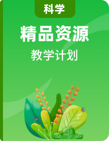 【教學(xué)計劃】教科版（2024）小學(xué)科學(xué) 1-6年級下冊 教學(xué)計劃