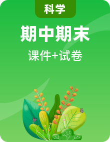教科版2017科學(xué)五年級(jí)上冊(cè)單元測(cè)試卷課件+期中期末測(cè)試卷課件（含答案）
