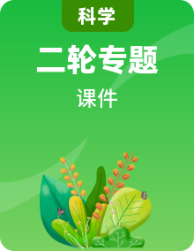 浙教版科學(xué)中考沖刺二輪復(fù)習(xí)課件PPT