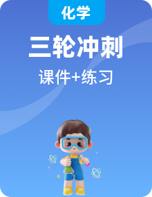中考化學(xué)專題復(fù)習(xí)題型突破課件新人教版專題