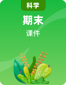 冀人版一年級(jí)上冊科學(xué)單元復(fù)習(xí)PPT