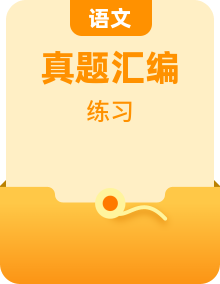 2024年小升初語文真題知識匯編 （全國版）專題特訓(xùn)試卷