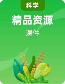教科版科學(xué)一年級(jí)上冊(cè)PPT課件+視頻全套