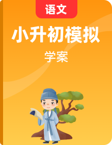 小升初部編版語文六年級下冊基礎(chǔ)專題過關(guān)學(xué)案