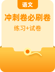 【沖刺小升初】2024年小升初語(yǔ)文專項(xiàng)訓(xùn)練必刷題（原卷版+解析版）