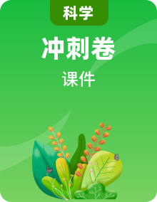 浙教版科學(xué)中考沖刺課程課件PPT