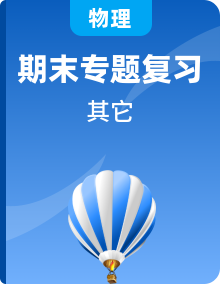 福建省2023-2024九年级物理上学期期末专题复习