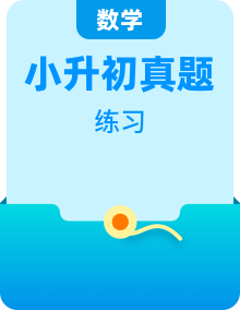 2024年小升初數(shù)學培優(yōu)訓練題（全五套附答案）